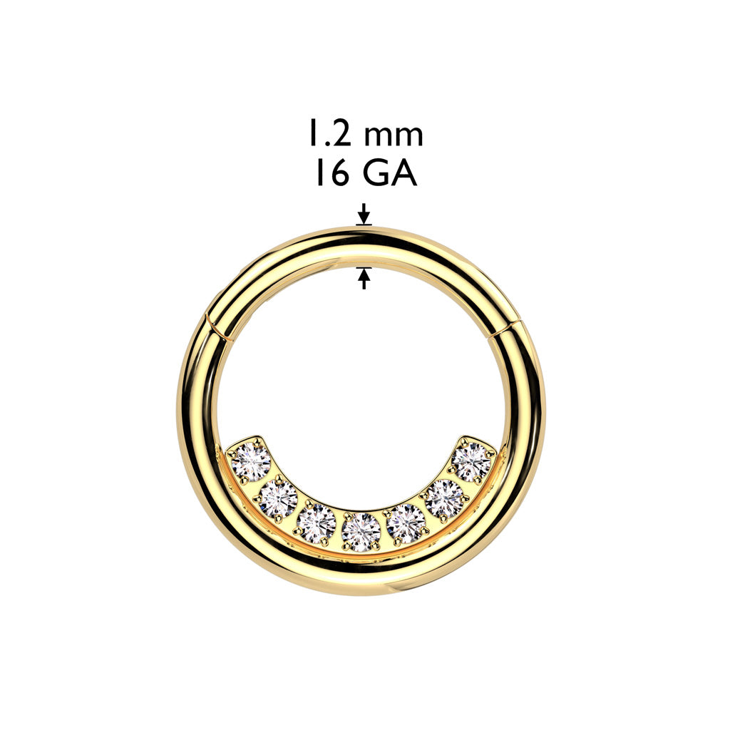 High Quality Precision All 316L Surgical Steel Hinged Segment Hoop Ring With Inner CNC Set Lined CZ size chart