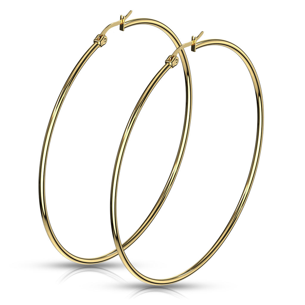 Pair of Gold IP 316L Stainless Steel Round Hoop Earrings