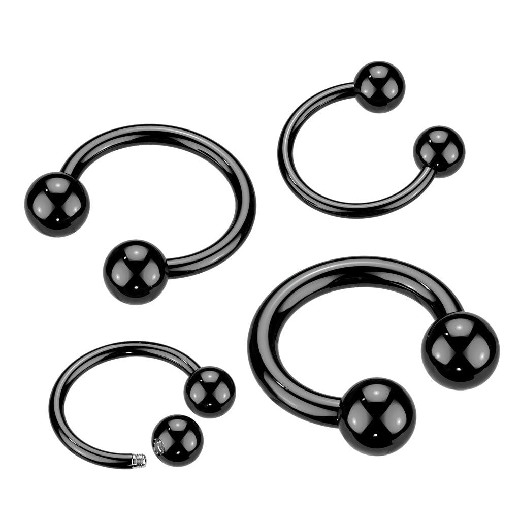10PC Black Titanium IP Over 316L Surgical Steel Circular Barbell Package - all colors