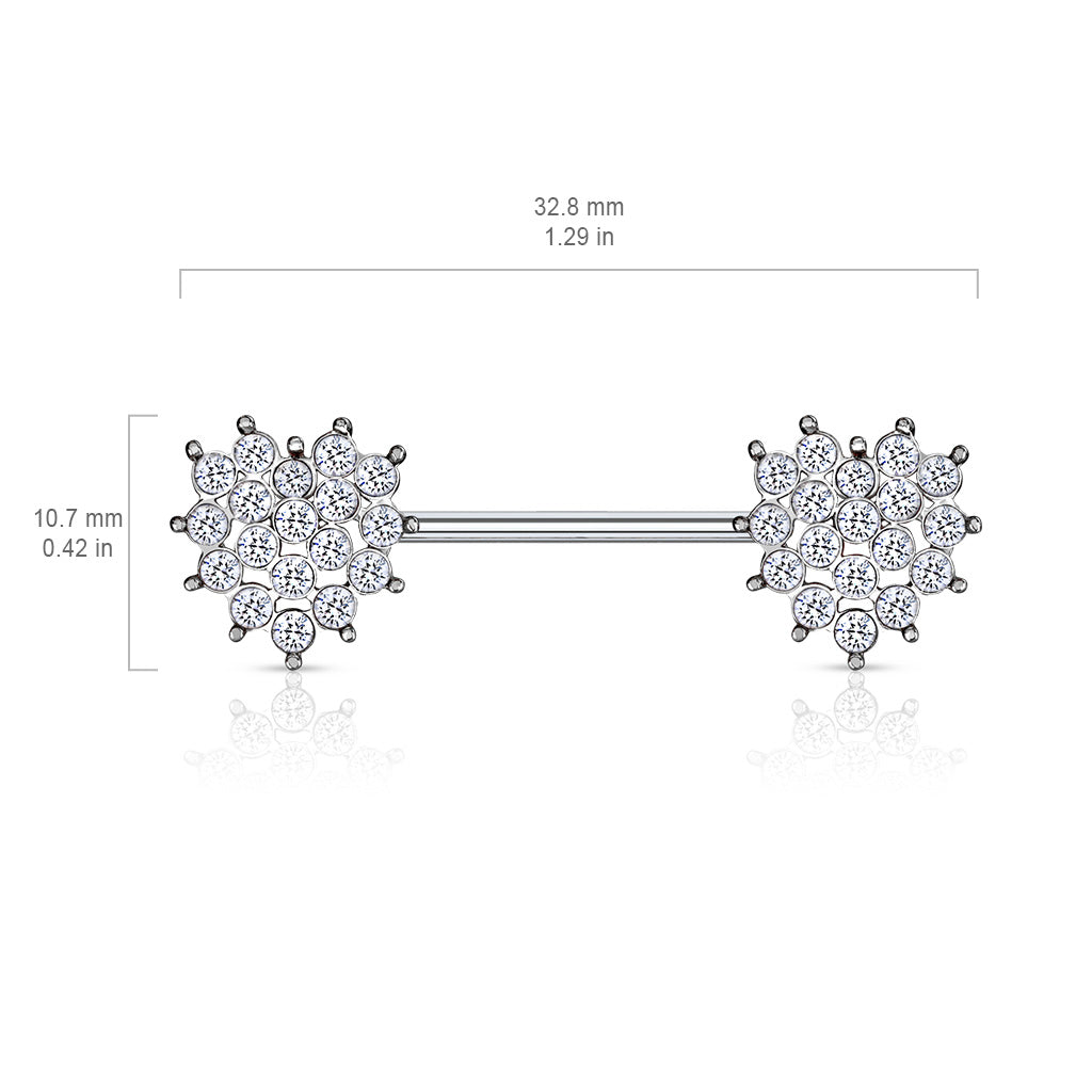 Crystal Paved Heart Ends 316L Surgical Steel Nipple Barbell Rings size chart