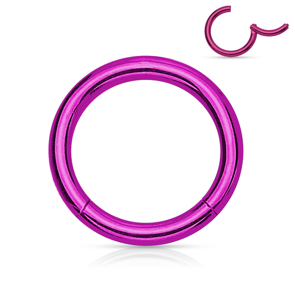 PVD Coated Hinged Segment Hoop Rings - Purple