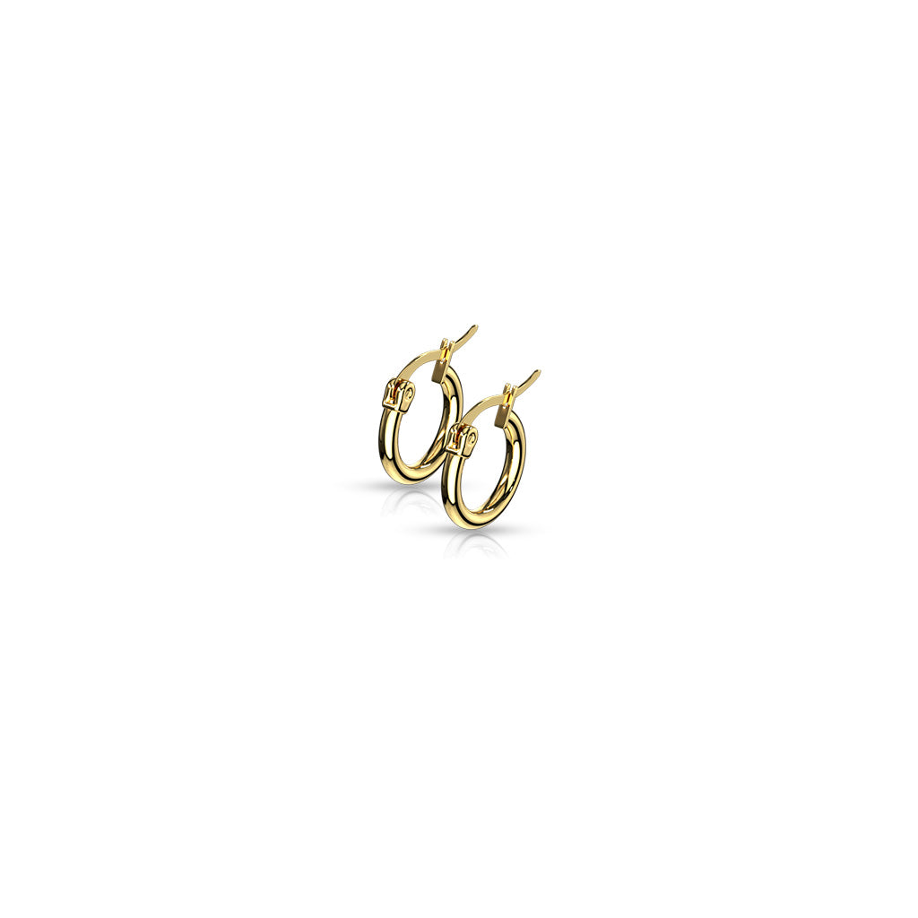 Pair of Gold IP 316L Stainless Steel Round Hoop Earrings