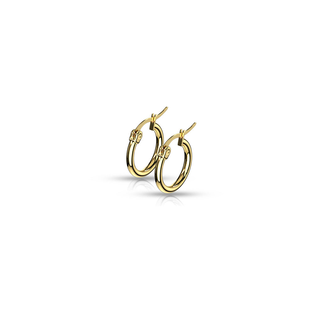 Pair of Gold IP 316L Stainless Steel Round Hoop Earrings