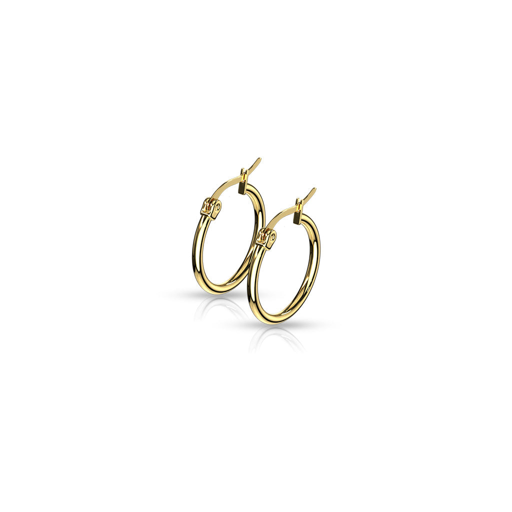 Pair of Gold IP 316L Stainless Steel Round Hoop Earrings