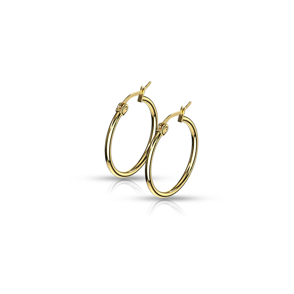 Pair of Gold IP 316L Stainless Steel Round Hoop Earrings