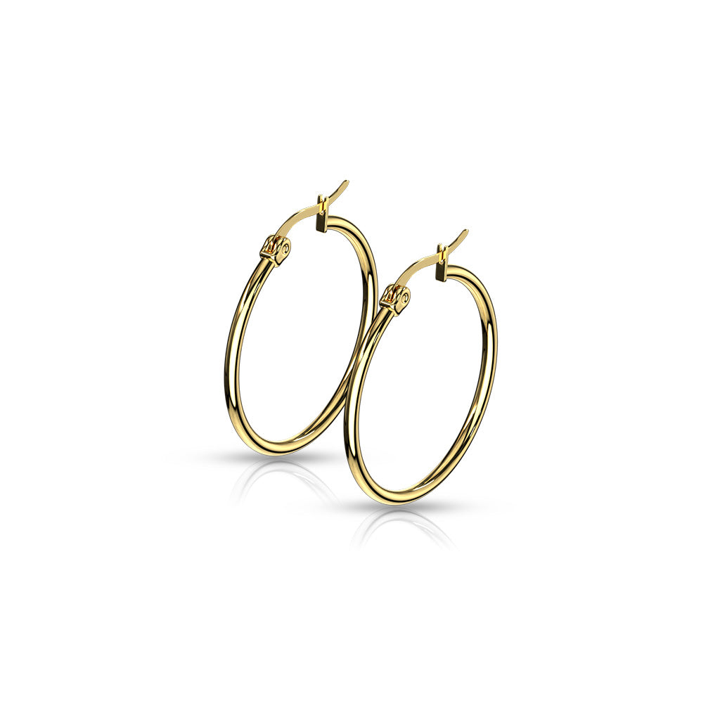 Pair of Gold IP 316L Stainless Steel Round Hoop Earrings