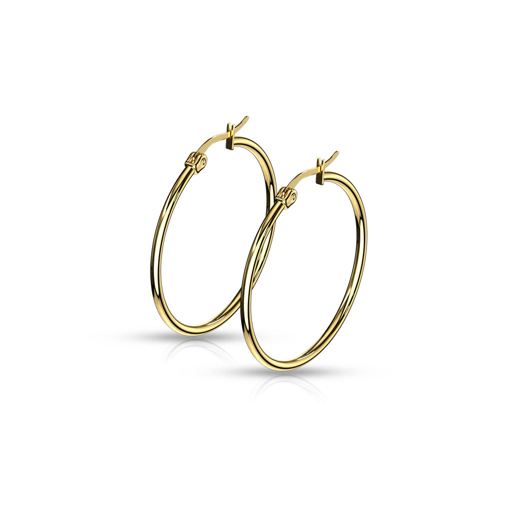 Pair of Gold IP 316L Stainless Steel Round Hoop Earrings