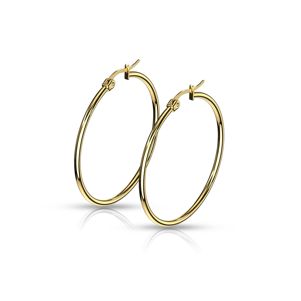 Pair of Gold IP 316L Stainless Steel Round Hoop Earrings