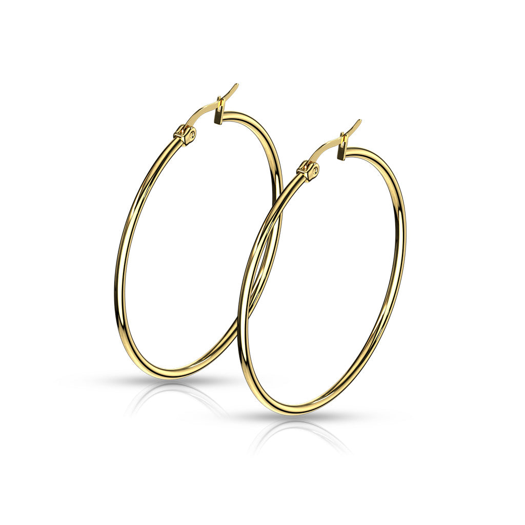 Pair of Gold IP 316L Stainless Steel Round Hoop Earrings
