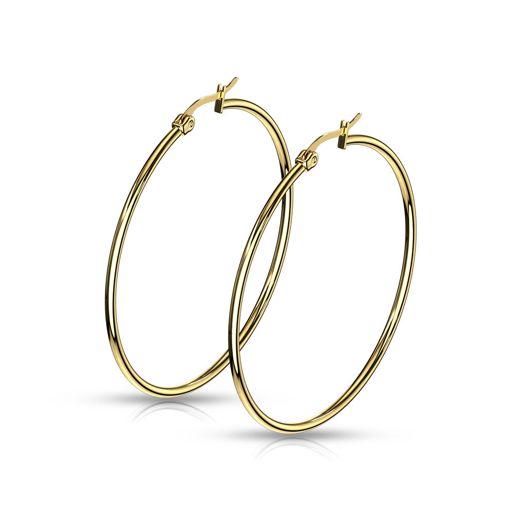 Pair of Gold IP 316L Stainless Steel Round Hoop Earrings
