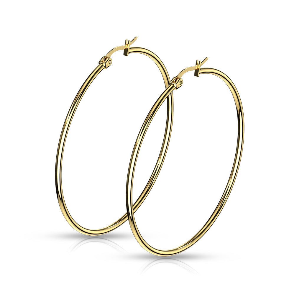 Pair of Gold IP 316L Stainless Steel Round Hoop Earrings