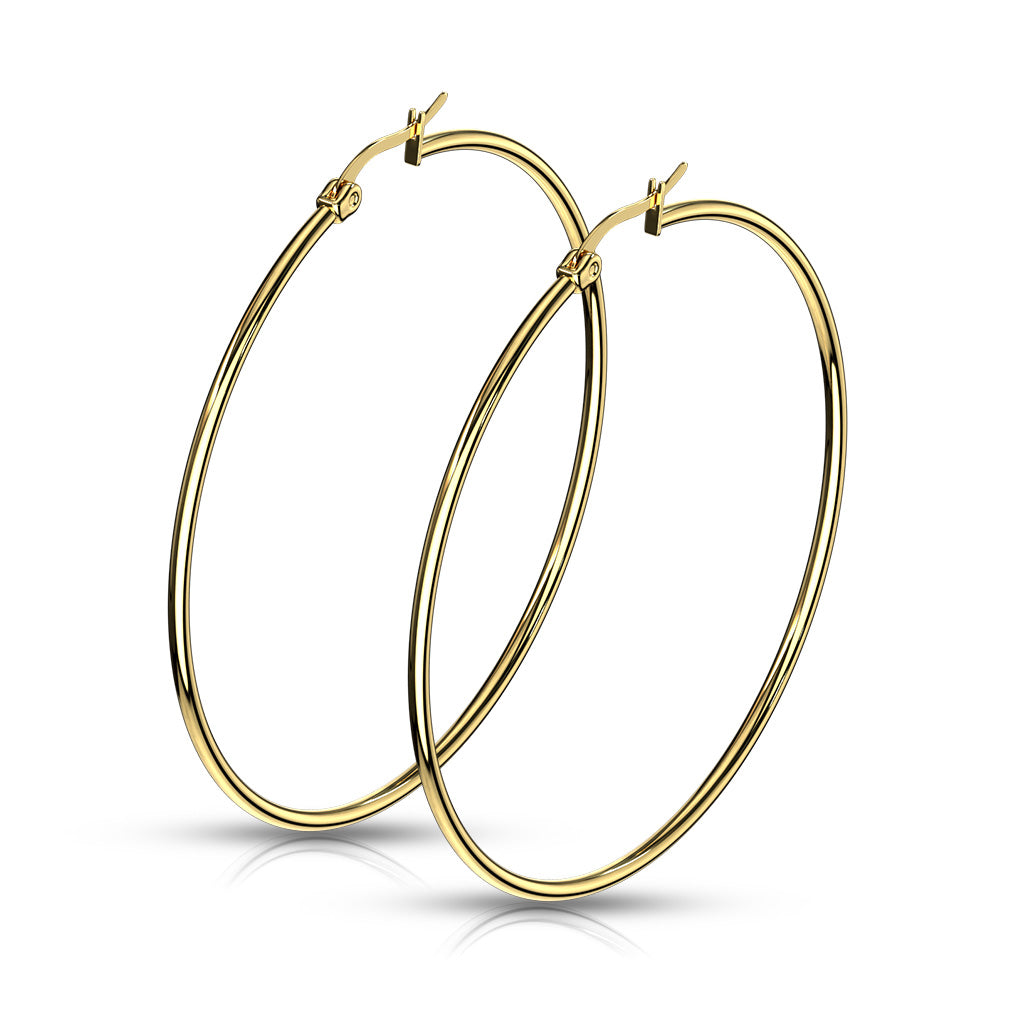 Pair of Gold IP 316L Stainless Steel Round Hoop Earrings