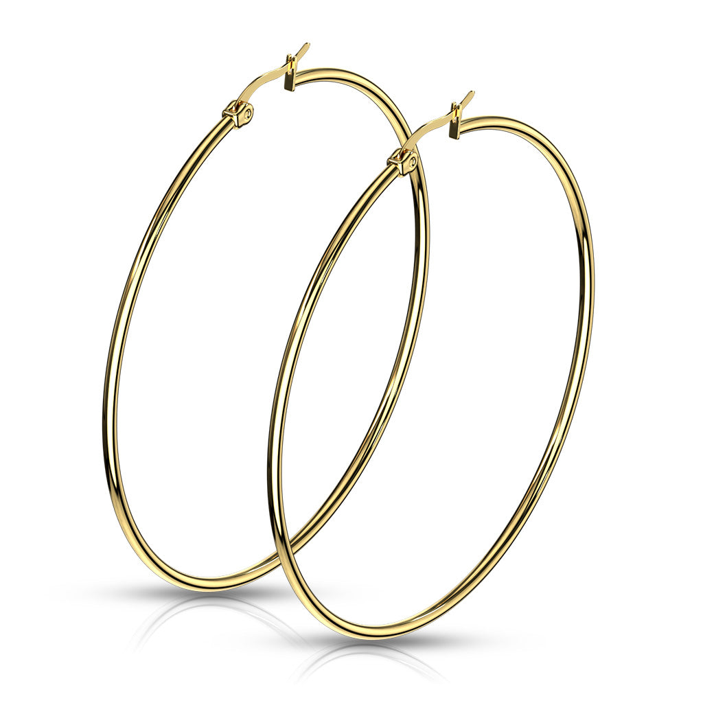 Pair of Gold IP 316L Stainless Steel Round Hoop Earrings