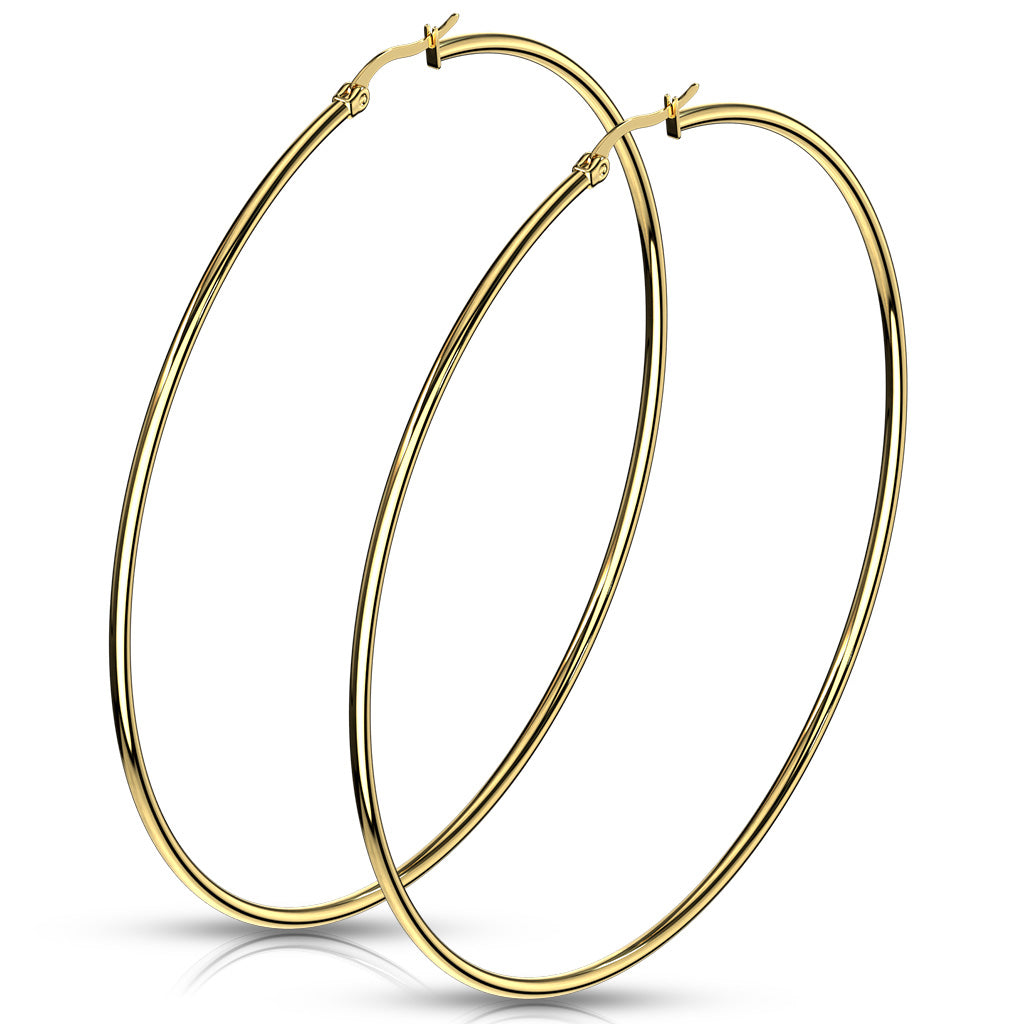 Pair of Gold IP 316L Stainless Steel Round Hoop Earrings