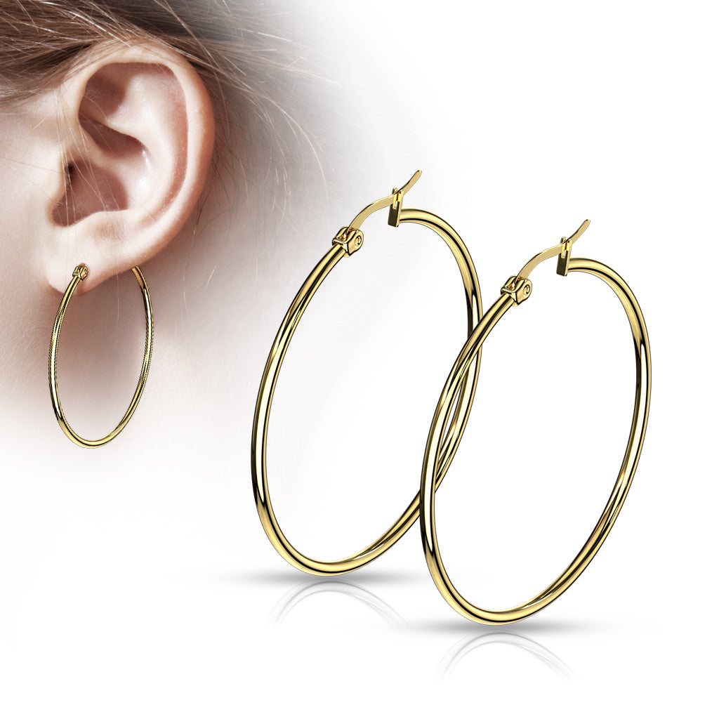 Pair of Gold IP 316L Stainless Steel Round Hoop Earrings - all colors